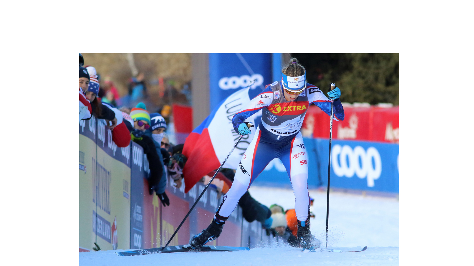Diggins