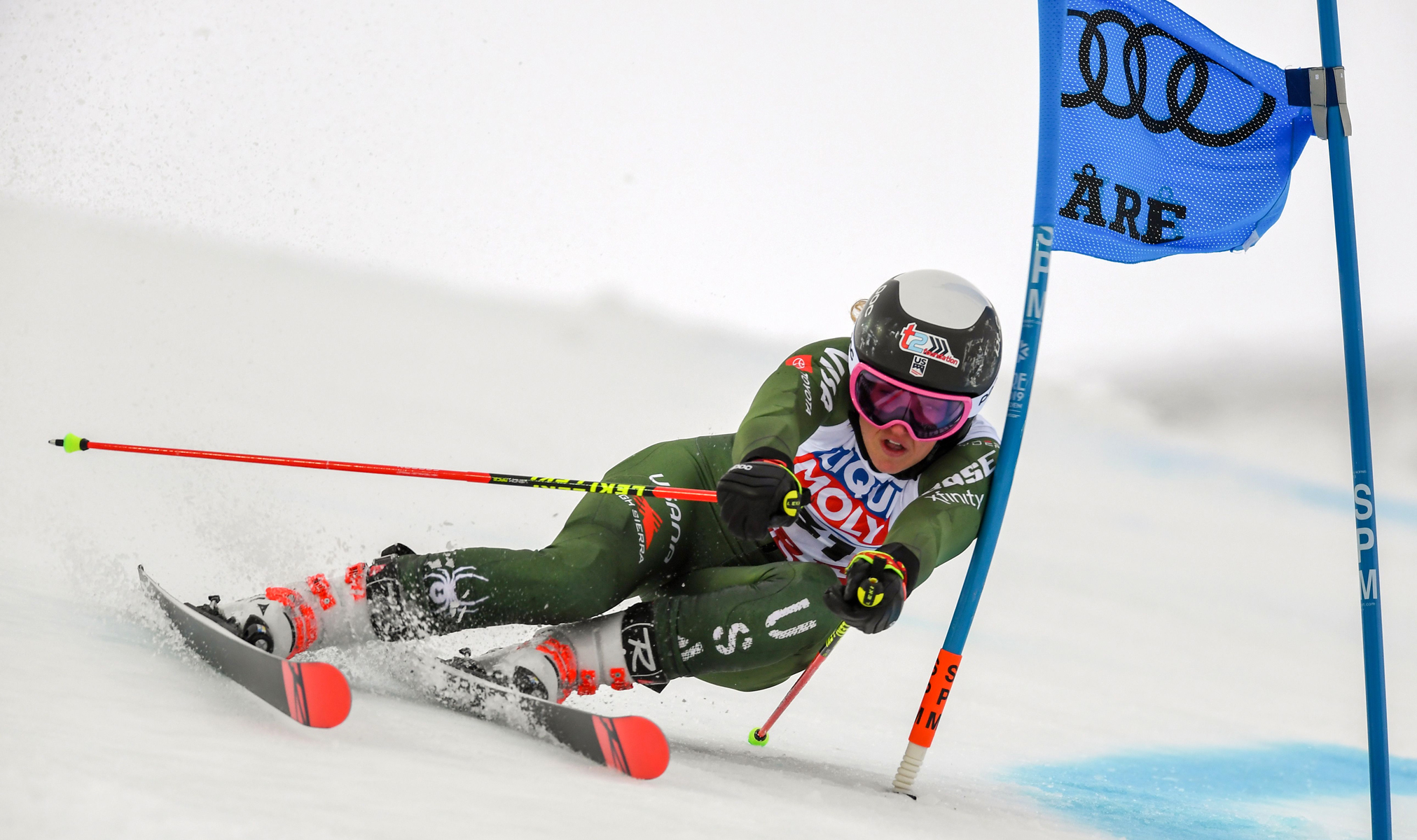 Alpine Coach Membership