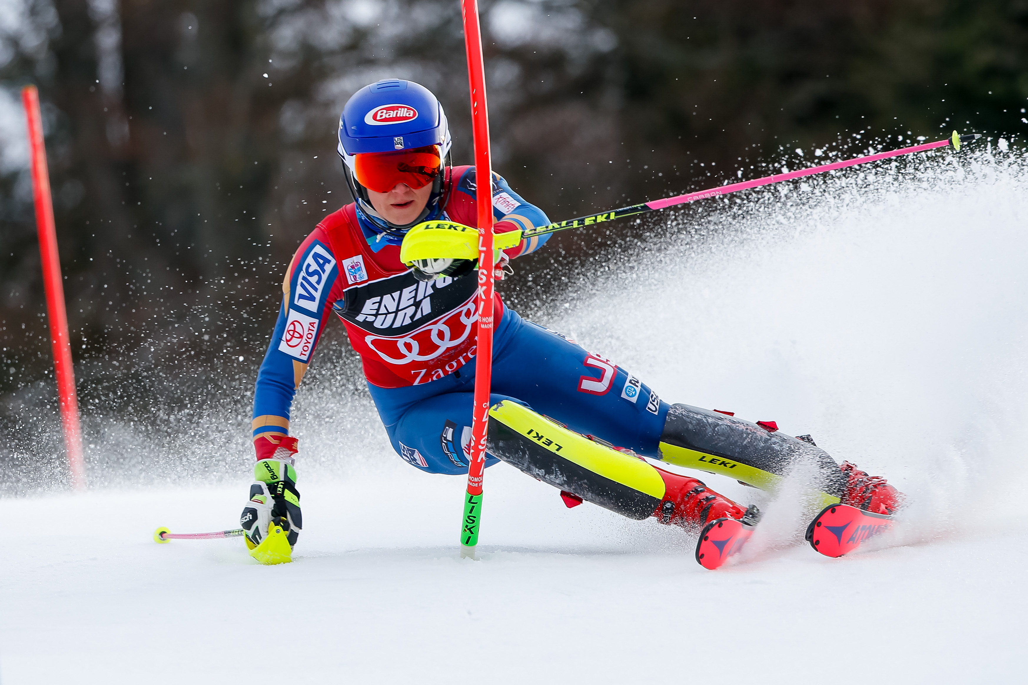 Shiffrin 1-3-18