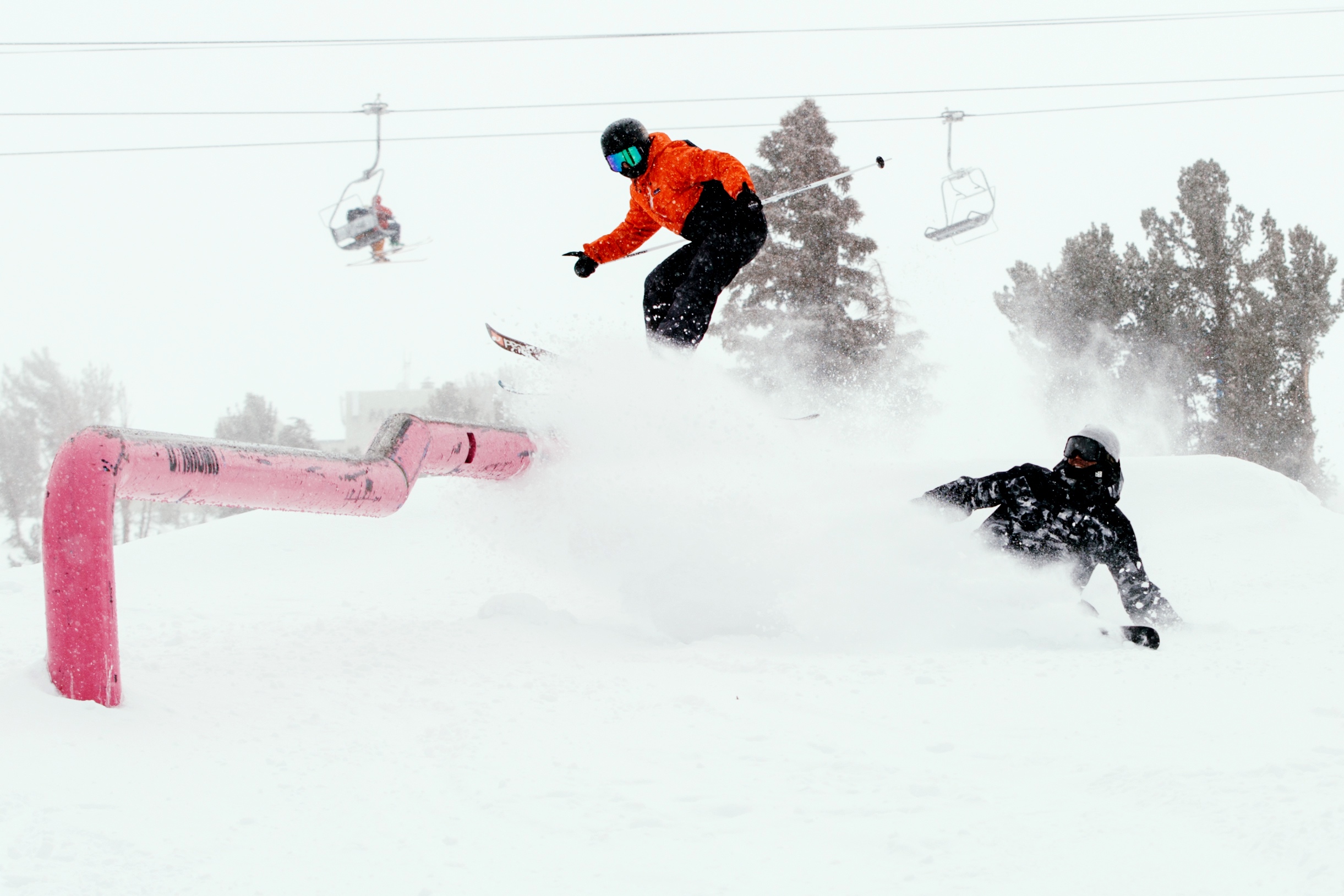 Marin Hamill and Dave Euler