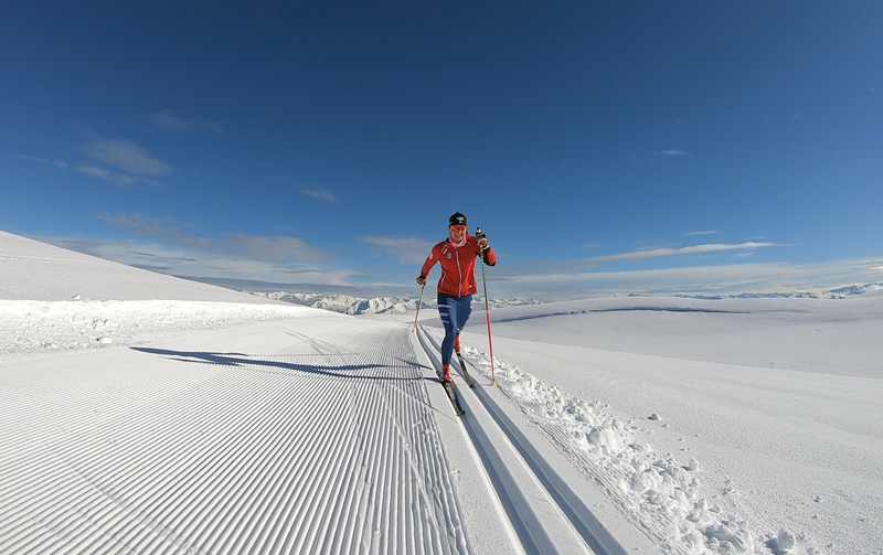 Classic Form in New Zealand