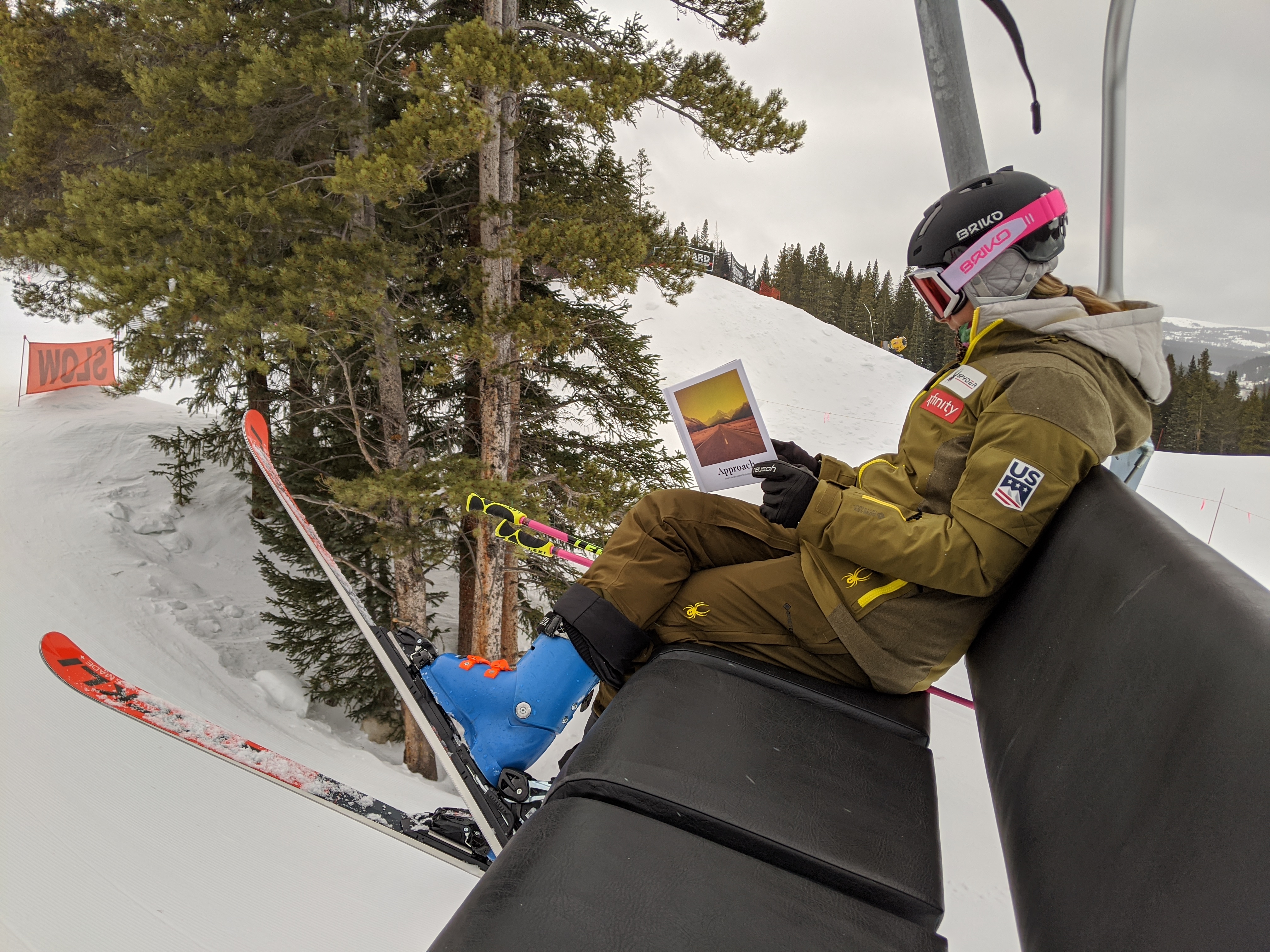 Laurenne Ross Approach Book