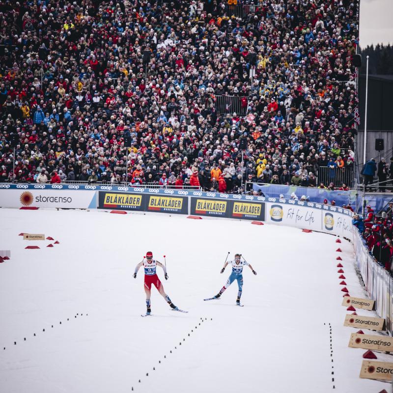 Lucas Wilmot headshot image