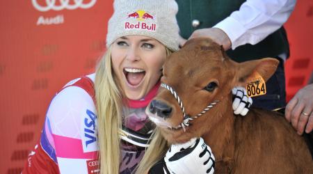 Lindsey Vonn cow