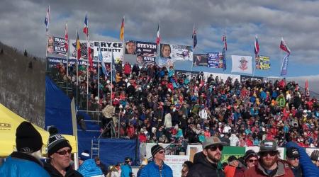 Beaver Creek Stands