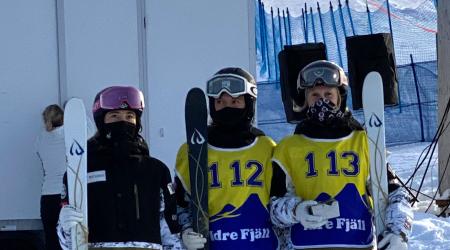 Moguls 