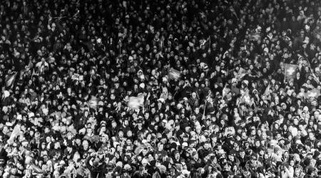 crowd
