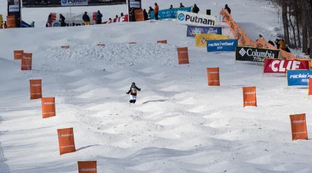 Freestyle Divisions
