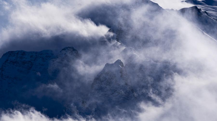 Transgender Athlete Participation